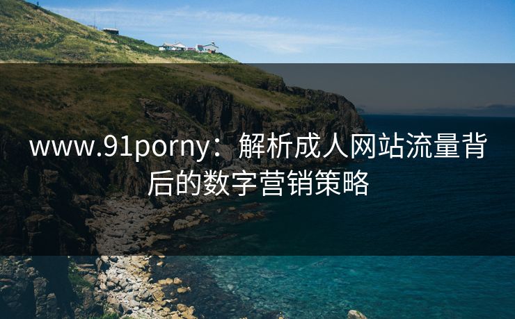 www.91porny：解析成人网站流量背后的数字营销策略