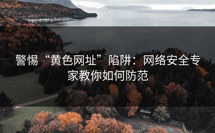 警惕“黄色网址”陷阱：网络安全专家教你如何防范