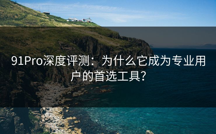 91Pro深度评测:为什么它成为专业用户的首选工具? 第1张 91Pro深度评测:为什么它成为专业用户的首选工具? 第1张